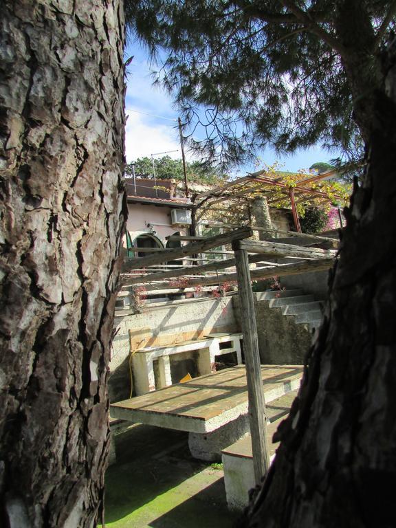 Rifugio Dei Tre Pini ξενώνας Castelmola Εξωτερικό φωτογραφία
